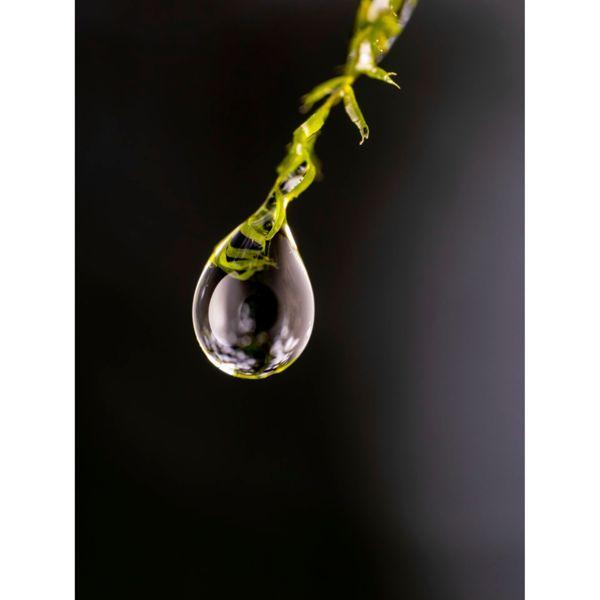 Productafbeelding OM System M.Zuiko Digital ED 90mm F3.5 Macro IS PRO (Micro Vier Derde, Micro Vier Derde)