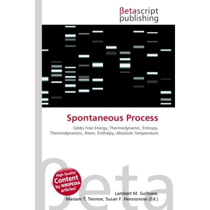Spontaneous Process, Fachbücher von Lambert M. Surhone, Miriam T. Timpledon, Susan F. Marseken