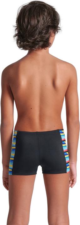 Actual product image Arena B Racing Stripe Swim Short (140)
