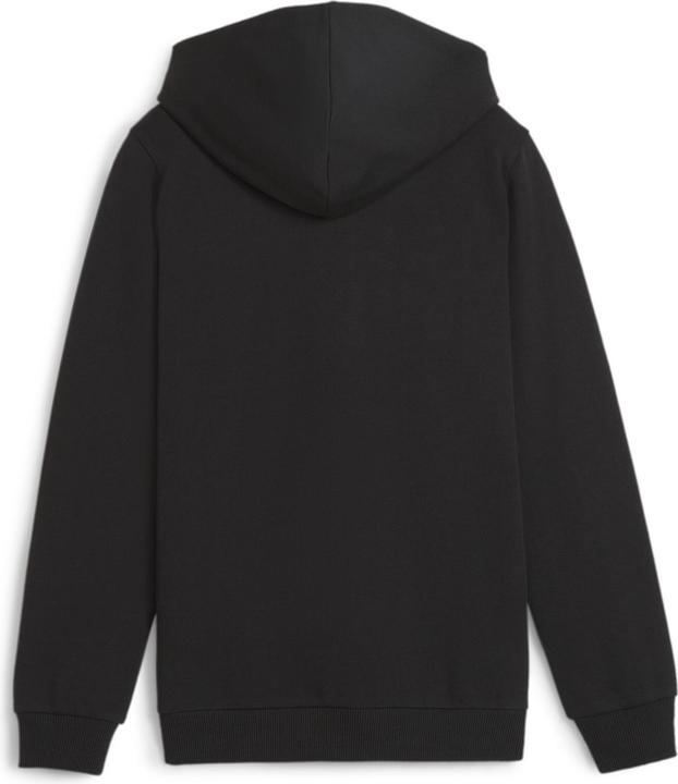 Actual product image Puma teamGOAL Casuals Hooded Jacket Jr (164)