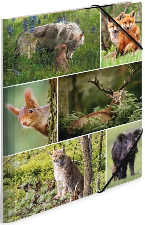 Produktbild HERMA Sammelmappe A4 Motiv (A4, 1x)