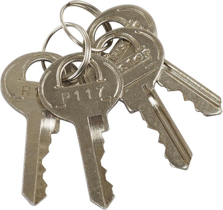 Actual product image Master Lock Python Compact (180 cm)