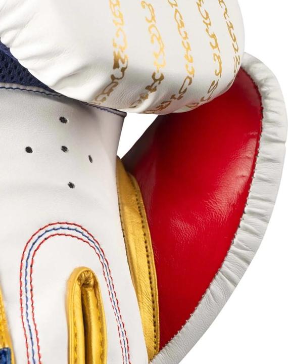 Immagine prodotto Phantom Athletics Athletics Muay Thai Boxhandschuhe 14oz (14 OZ, Taglia unica)