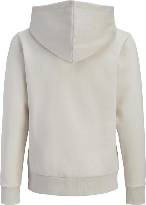 Produktbild Jack & Jones Jrebzack Sweat Hood Noos Jnr (152)