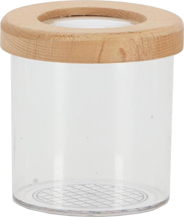 Actual product image Gardenlife Insect study jar