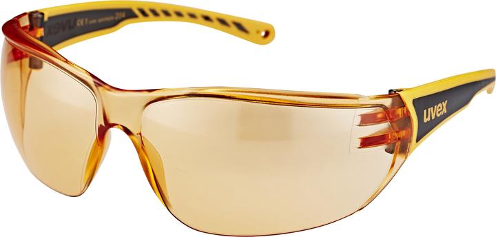 Immagine prodotto Uvex Sports Sportstyle 204 (Arancia, Arancia)