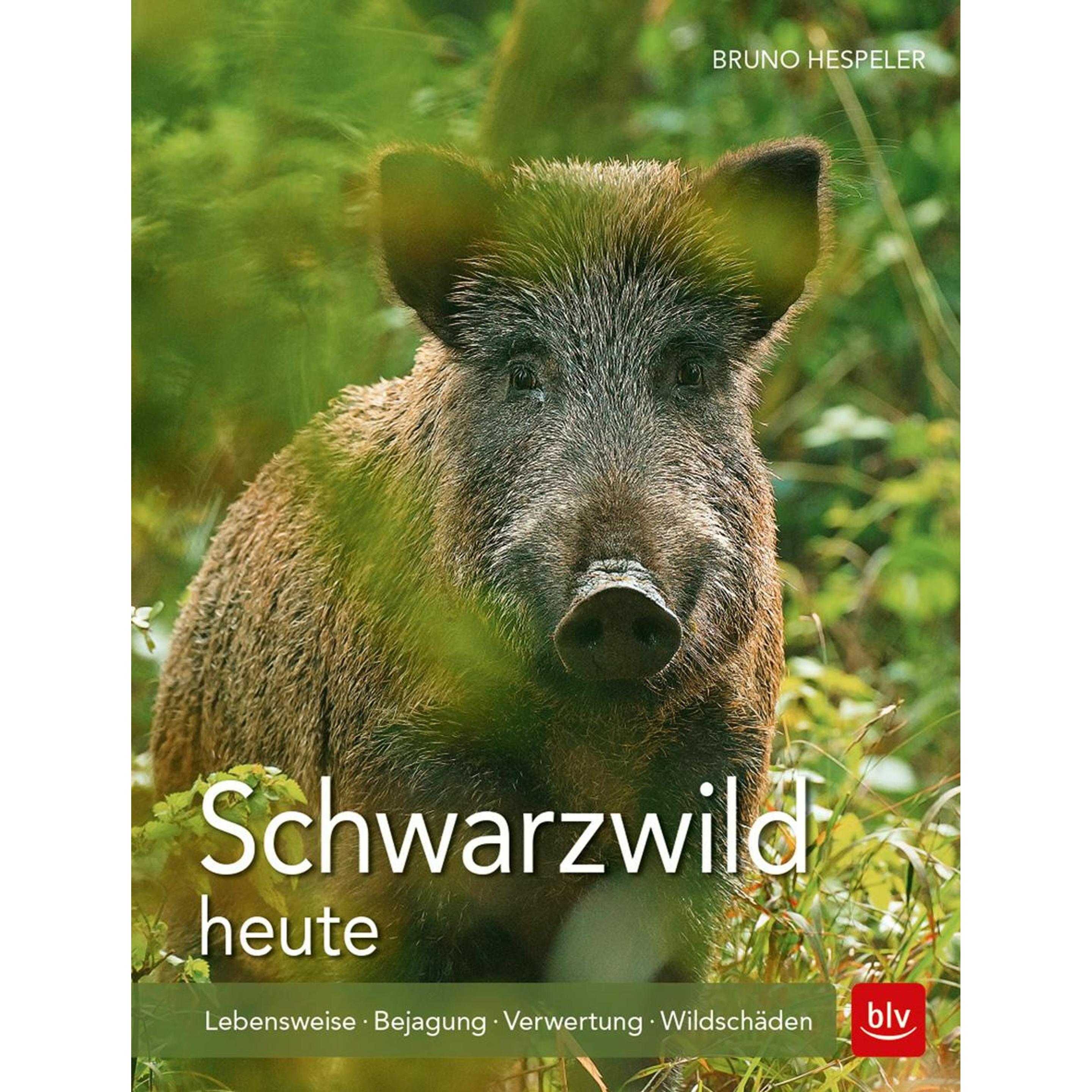 Schwarzwild heute, Ratgeber von Bruno Hespeler