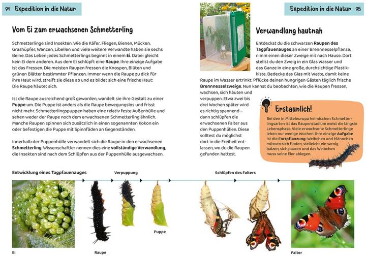 Produktbild Kosmos Welcher Schmetterling ist das? Kindernaturführer (Deutsch, Jens Poschadel, 2023)