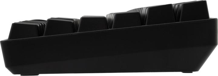 Actual product image White Shark GK-005121 Hamachi Mechanical RGB / US - Blue SW. (US, Cable)