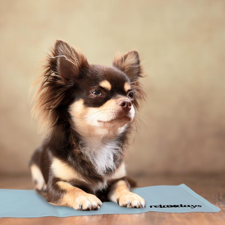 Image du produit Relaxdays Tapis réfrigérant (Chien, Chat)