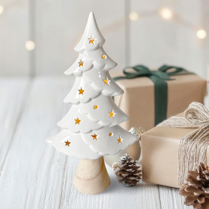 Produktbild HTI-Living LED Winterbaum 2er Set mit Leuchtsternen