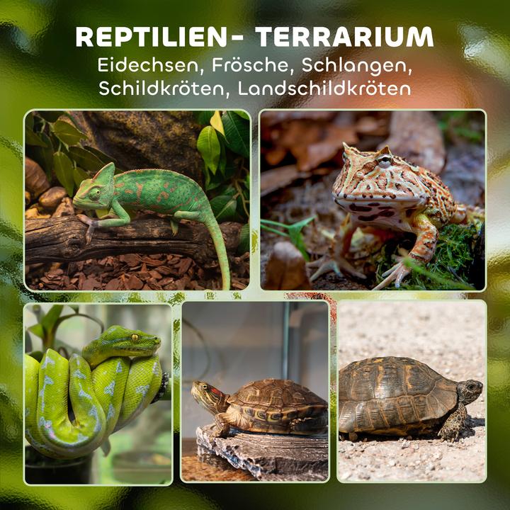 Image du produit PawHut Terrarium Hartglas, Stahl Schwarz
