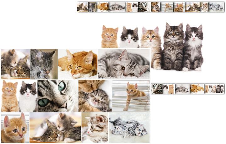 Produktbild HERMA GmbH Schreibunterlage Katze 55x35cm (55 x 35 cm)