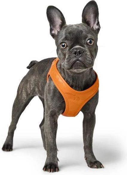 Produktbild Hunter Geschirr Hilo (S, XS, Hund)