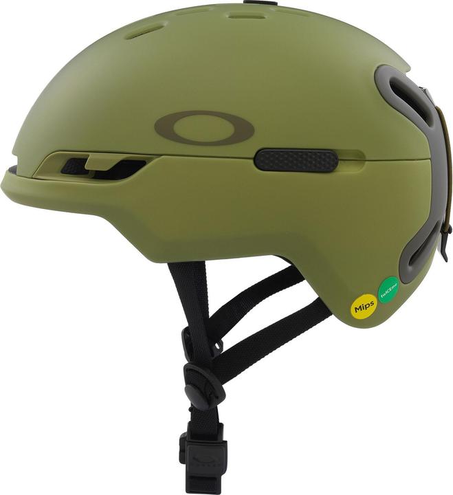 Felce opaca / Pennello scuro, Verde scuro