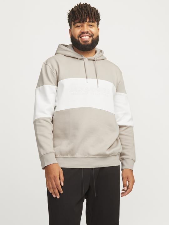 Produktbild Jack & Jones Jjelegacy Blocking Sweat Hood Noos Pls (XXL)