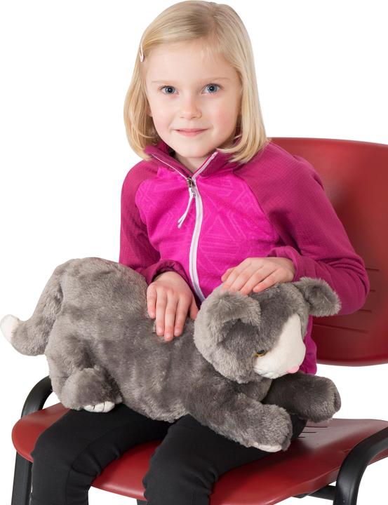 Actual product image Spordas Weight cat