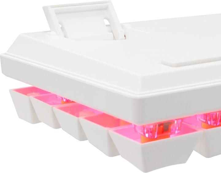 Actual product image Baracuda Computer keyboard BGK-03211 Dolphin White US Mechanical Red Switches (US, Cable)