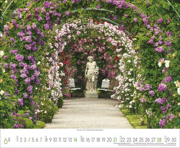 Produktbild Traumhafte Grten 2026