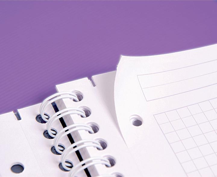 Image du produit Clairefontaine Livre Linicolor Evolutive (A5+, Quadrillé, Couverture rigide)