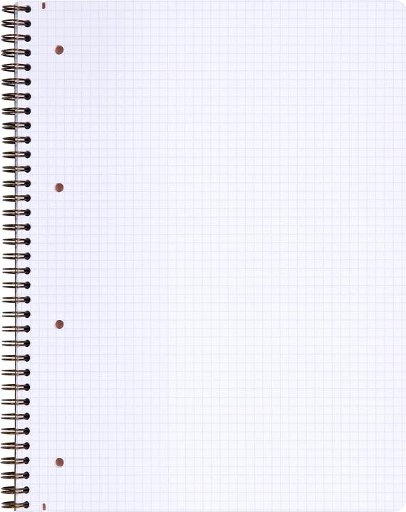 Actual product image Clairefontaine age bag (A4+, Checked, Hardcover)