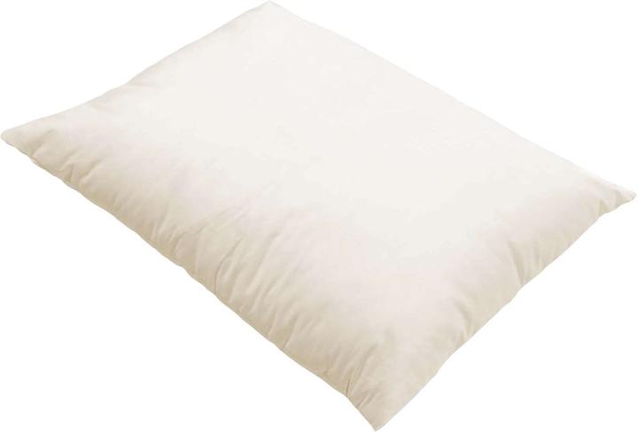 Actual product image Erzstef Spelt husk pillow (40 x 60 cm)
