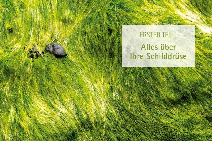 Produktbild Heile deine Schilddrüse (Deutsch, Anthony William, 2018)