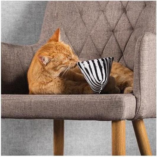 Actual product image CanadianCat Pyramid XL zebra with catnip