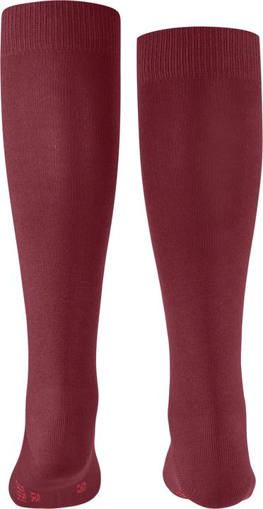 Produktbild Falke Family KH (Einzelpack, 19 - 22)