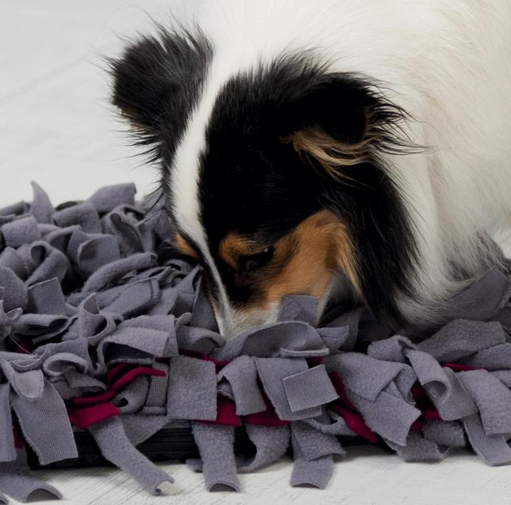 Productafbeelding Trixie Activiteit Snuffeltapijt (Speeltje voor honden)