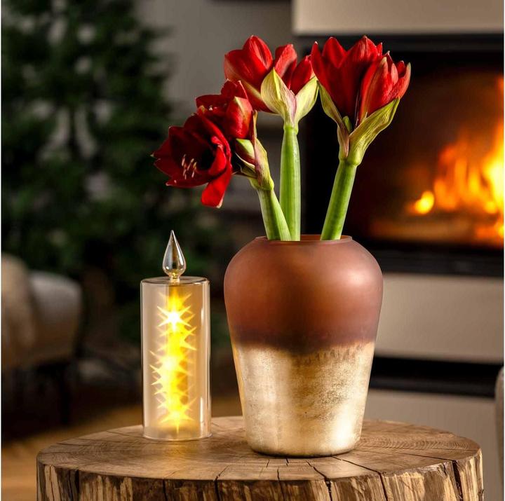 Image du produit Leonardo Lumière décorative Capanna Magico 9 cm x 30 cm, or (1 x)