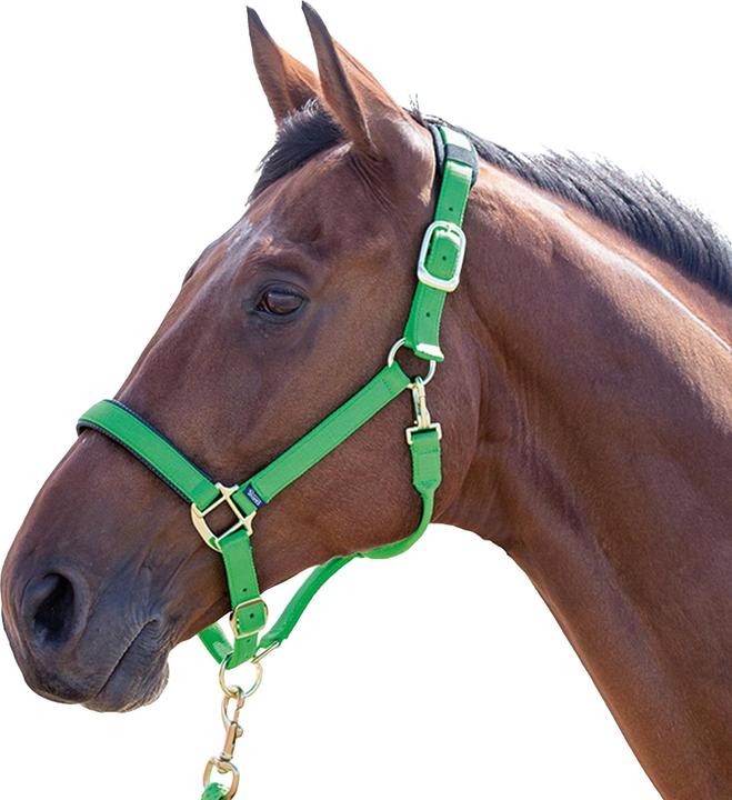 Shires Topaz Nylon Pferdehalfter