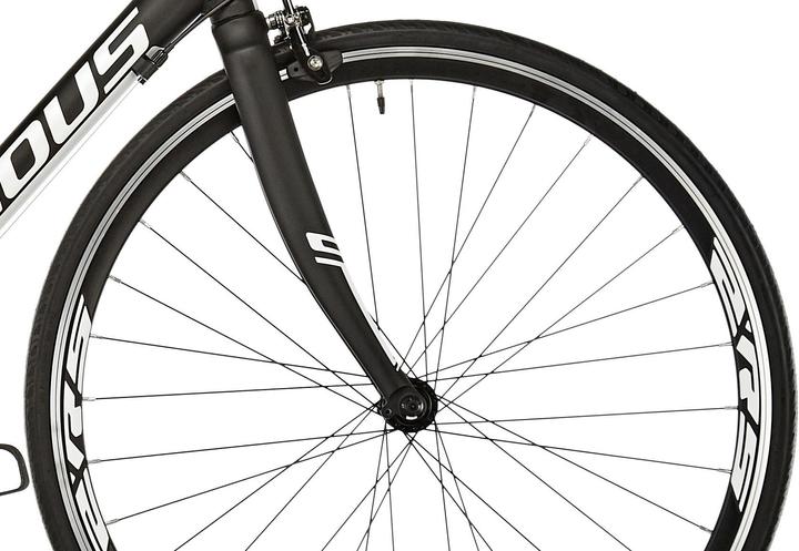 Actual product image Serious Causeway (52 cm)