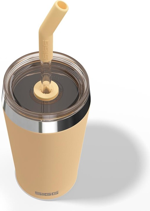 Actual product image Sigg Helia (0.45 l)