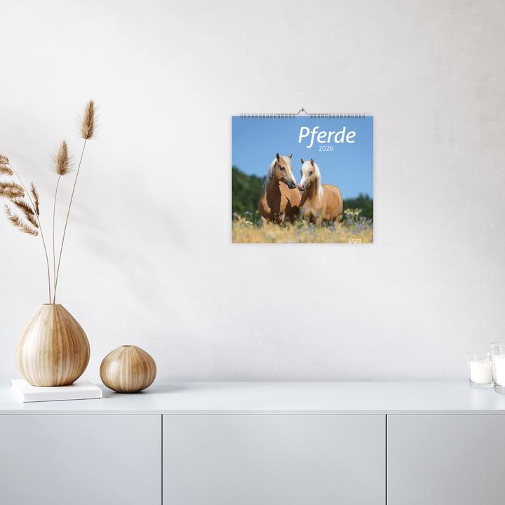 Produktbild times&more Pferde Bildkalender 2026