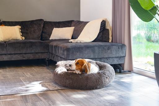 Image du produit Beeztees Hundebett Yala (Chien)