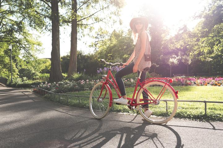 Immagine prodotto Ortler Detroit (50 cm)