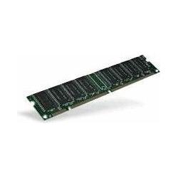 IBM 1GB PC133 ECC DIMM (DDR3-RAM, DIMM), RAM