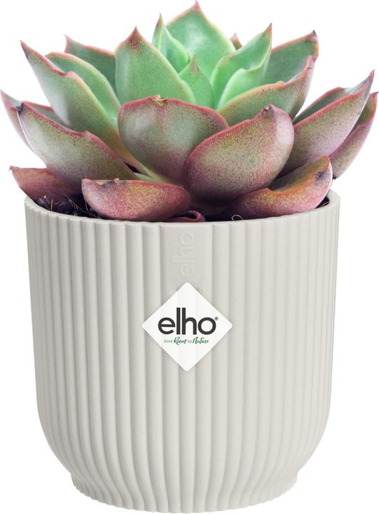 Actual product image Elho Vibes Fold Rund Mini (9.30 cm)