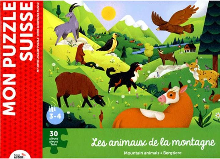 Actual product image Puzzle city ville de Locarno-Ascona Helvetiq (30 pieces)