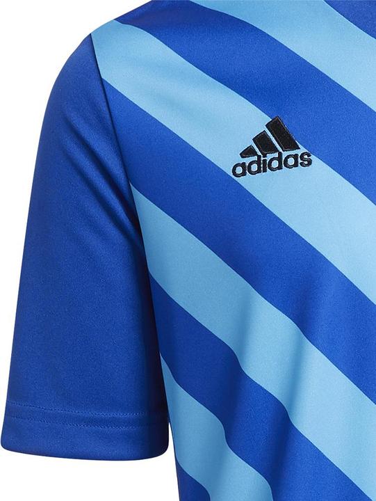Produktbild adidas Entrada 22 Graphic Trikot (116)