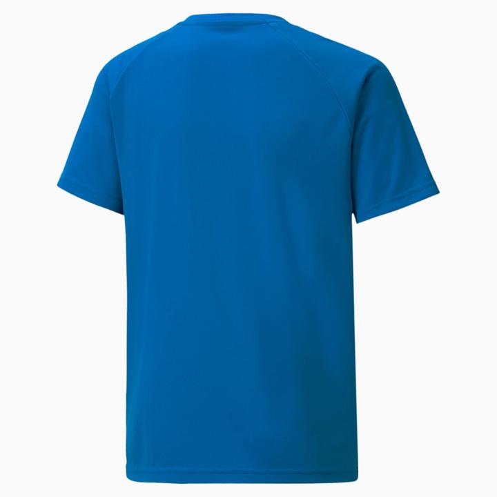 Produktbild Puma teamLIGA Striped Jersey Jr-704927 (140)