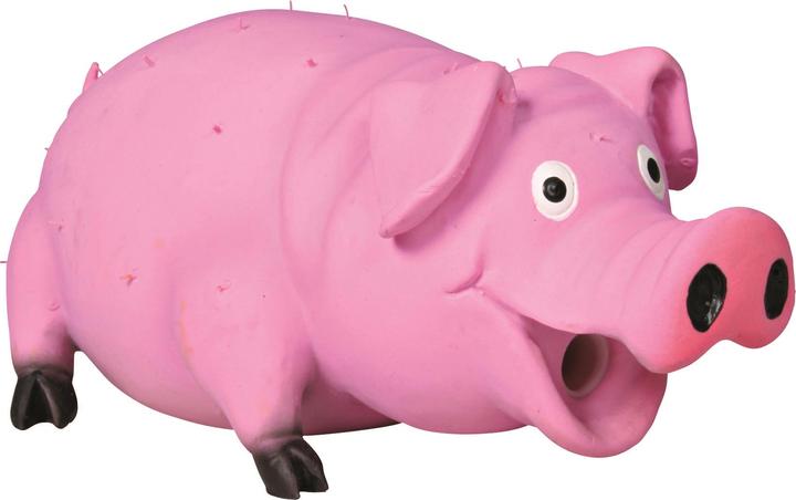 Produktbild Trixie Borstenschwein (Kauspielzeug Hund, Wurfspielzeug Hund)