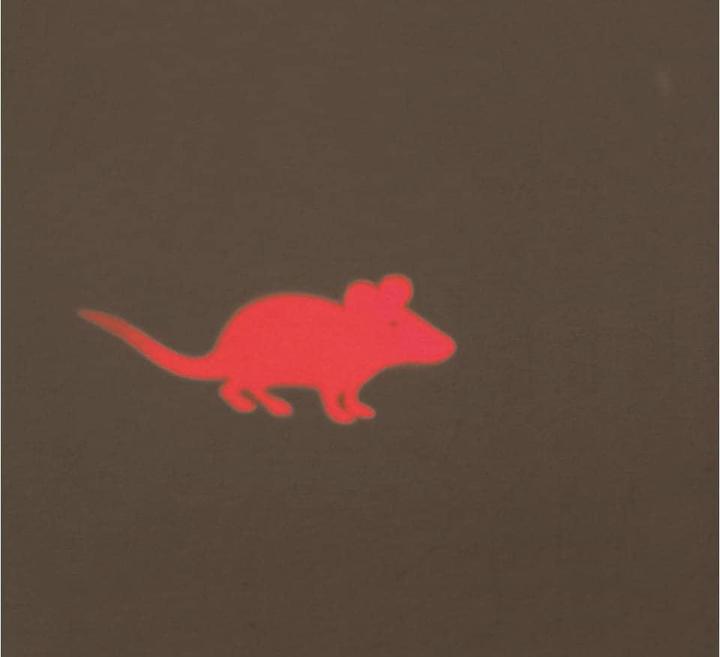 Immagine prodotto Trixie Puntatore LED Catch the Light Mouse
