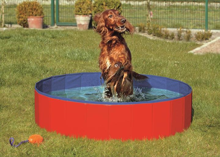 Josty Piscina (Piscina per cani)