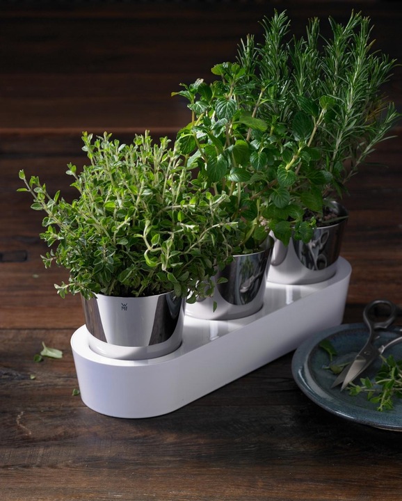 Produktbild WMF Kräutertopf Set 3tlg mit Bewässerungssystem Gourmet Edelstahl Kunststoff (14 cm)