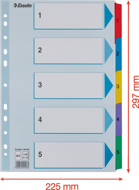 Image du produit Esselte Répertoire en carton Mylar, différents modèles, à l'unité