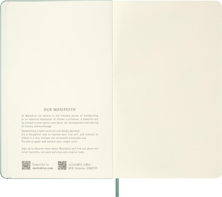 Image du produit Moleskine Notizbuch L/A5, blanko, Salbeigrün (A5, Blanc, Couverture rigide)