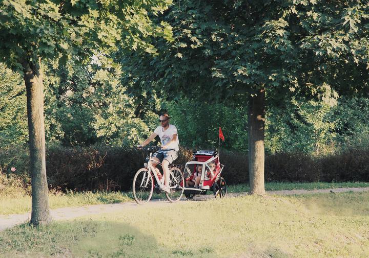 Actual product image Bellelli B-Travel