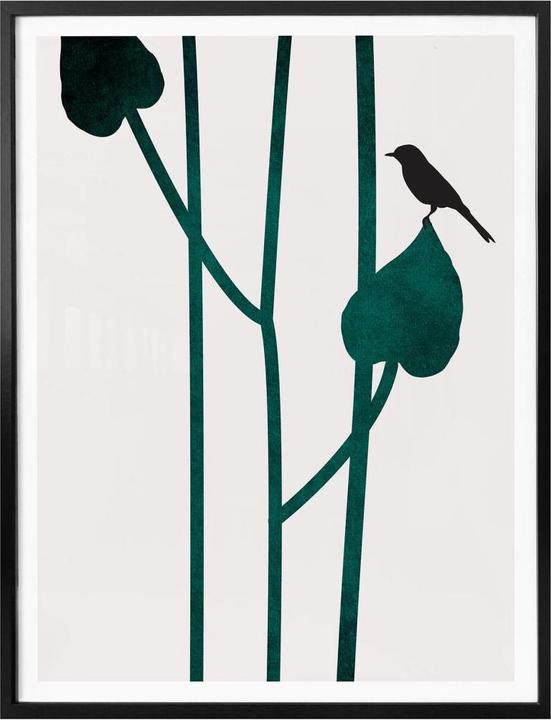 Image du produit Trenddeko Nature (24 x 30 cm)